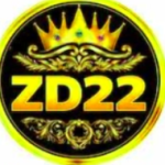 ZD22 game