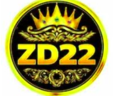 ZD22 game